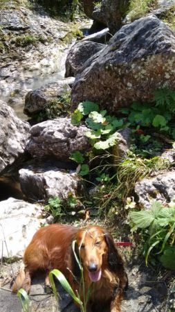 SEKA vel Z�ota Rybcia wycieczka w Pienin